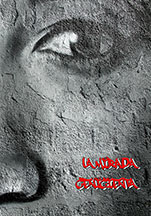 La mirada cenicienta